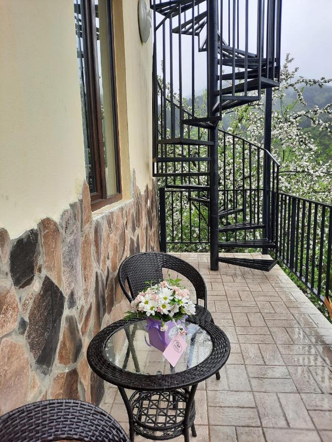 Guest House Bochora Bordżomi Zewnętrze zdjęcie